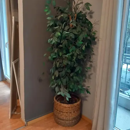 Apartament Closer 